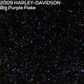 Close-up of Big Purple Flake paint color swatch for 2009 Harley-Davidson CVO models 