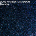2009 Harley-Davidson Black Ice paint color swatch