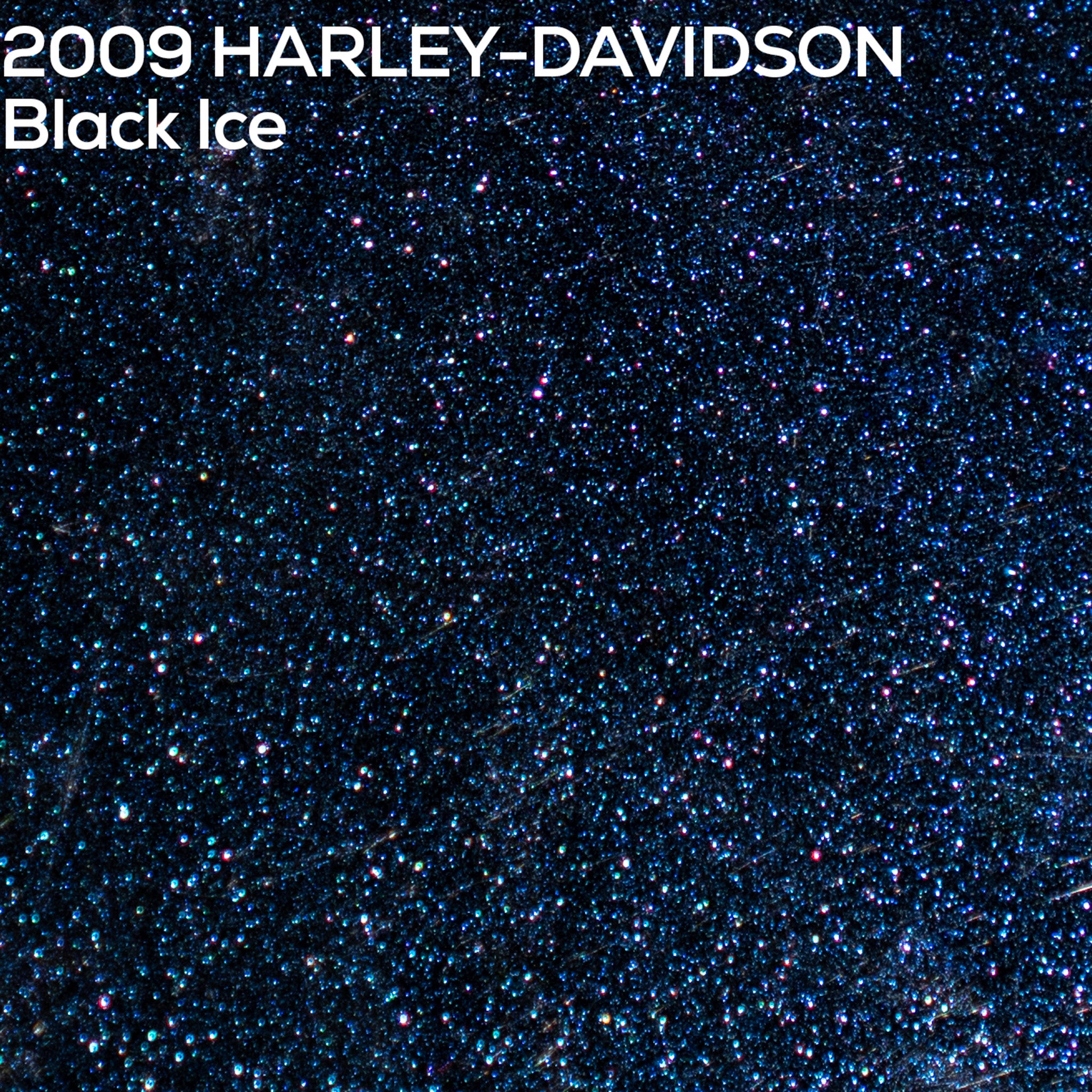 2009 Harley-Davidson Black Ice paint color swatch