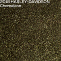 Close-up of 2018 Harley-Davidson Chameleon paint texture