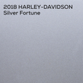 SILVER FORTUNE