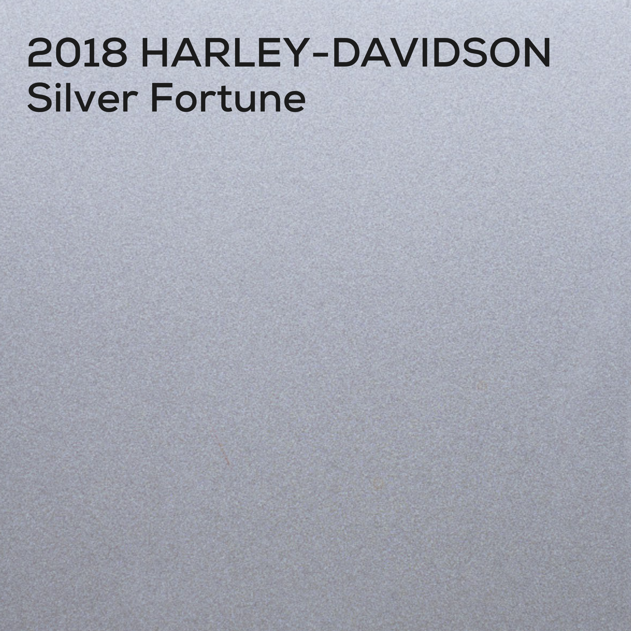 SILVER FORTUNE
