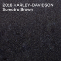 SUMATRA BROWN