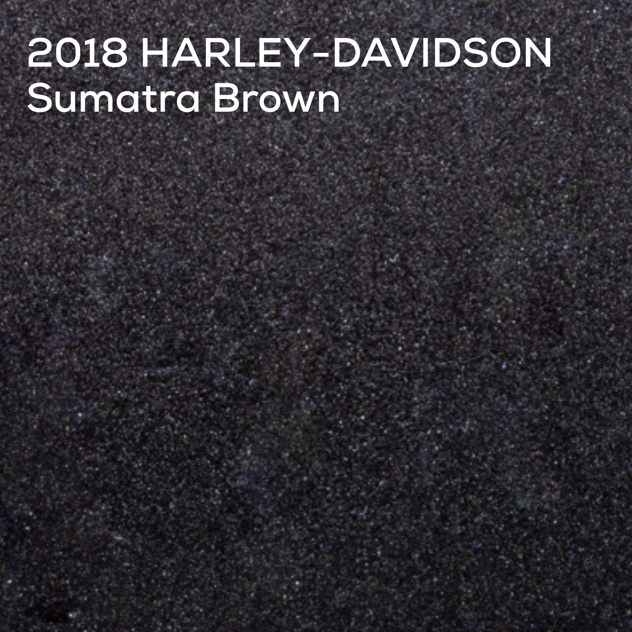 SUMATRA BROWN