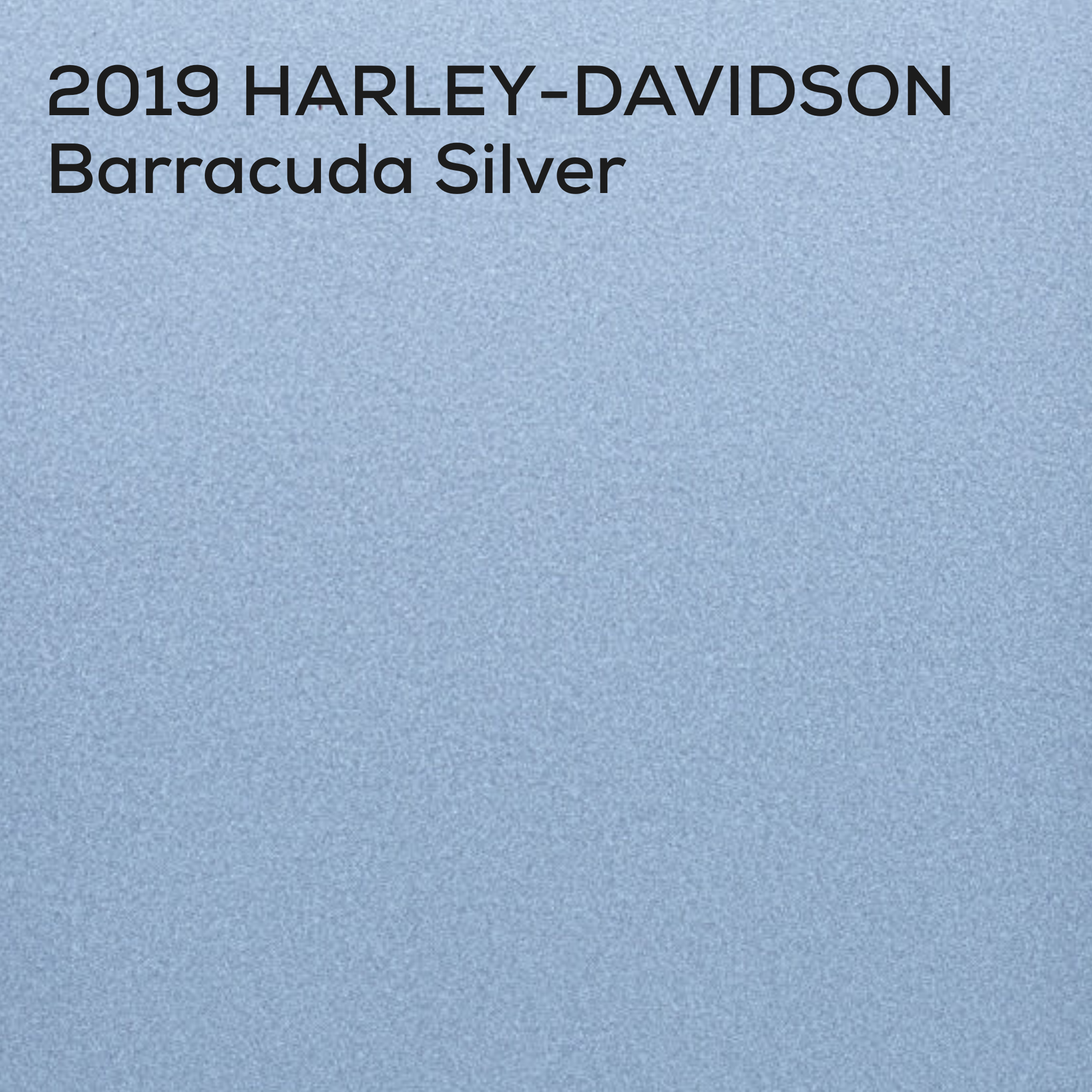 BARRACUDA SILVER