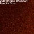 Close-up of 2019 Harley-Davidson Rawhide Gloss paint texture