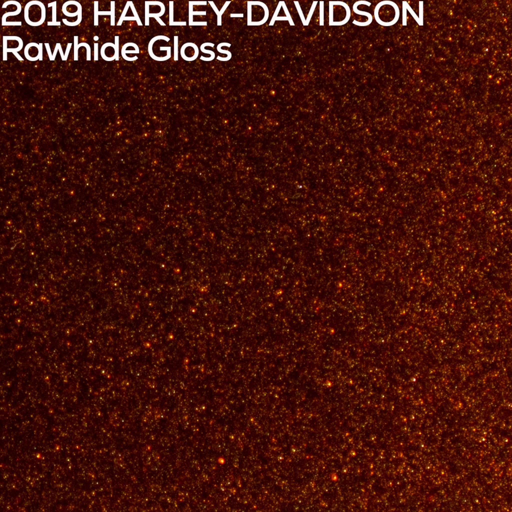Close-up of 2019 Harley-Davidson Rawhide Gloss paint texture