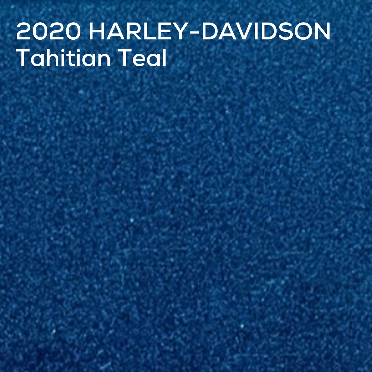 TAHITIAN TEAL