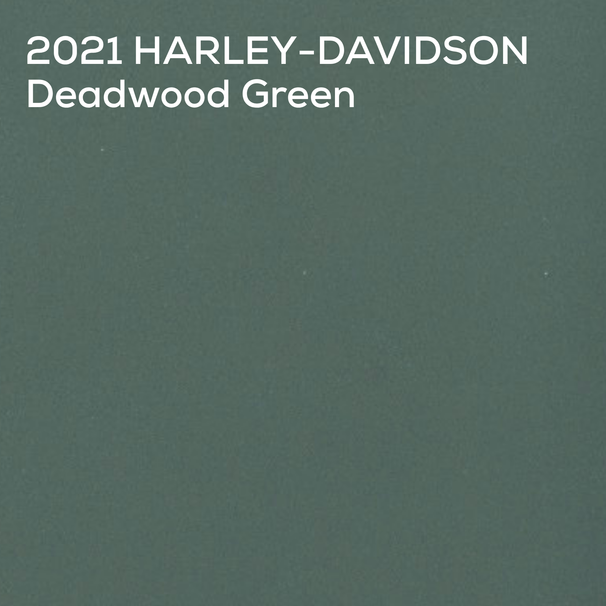 A solid dark green color swatch with white text reading '2021 HARLEY-DAVIDSON Deadwood Green' in the upper left corner.