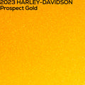 Authentic 2023 Harley-Davidson Prospect Gold Factory Pack paint color swatch close up 
