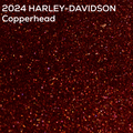 Close-up of authentic 2024 Harley-Davidson Copperhead factory pack paint texture
