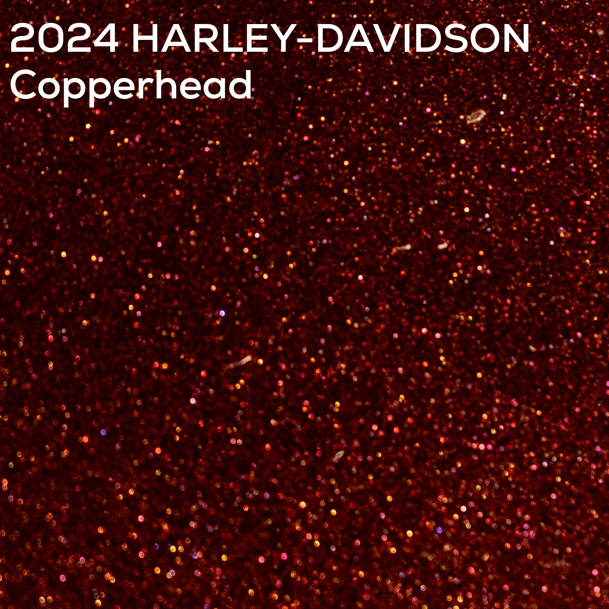 Close-up of authentic 2024 Harley-Davidson Copperhead factory pack paint texture